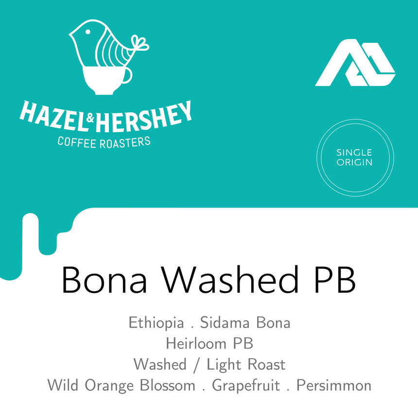 Ethiopia Alo Bona Washed PB #628