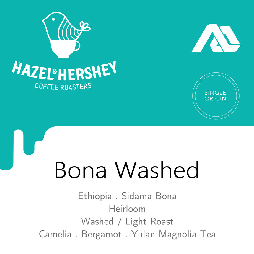 Ethiopia Alo Bona Washed #728