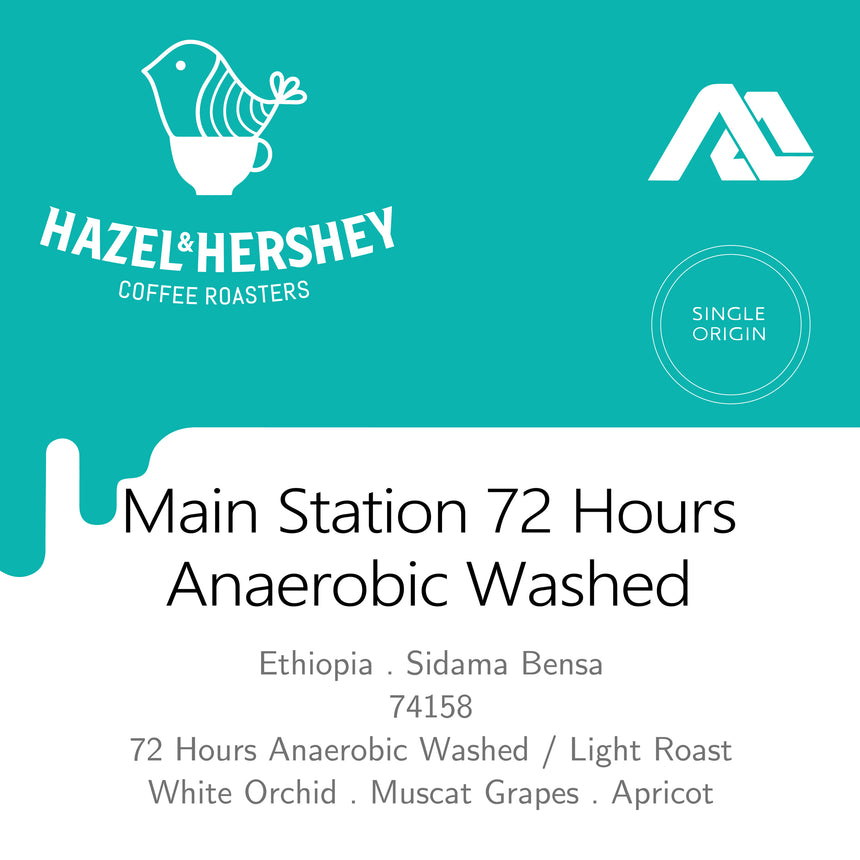 Ethiopia Alo Main Station 72 Hours Anaerobic Washed #738