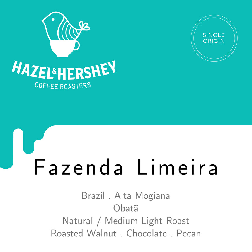 Brazil Fazenda Limeira Obatã Microlot Natural